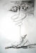 akos_images
